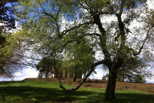 Les Mots qui portent La créativité et l'audace pour s'adapter