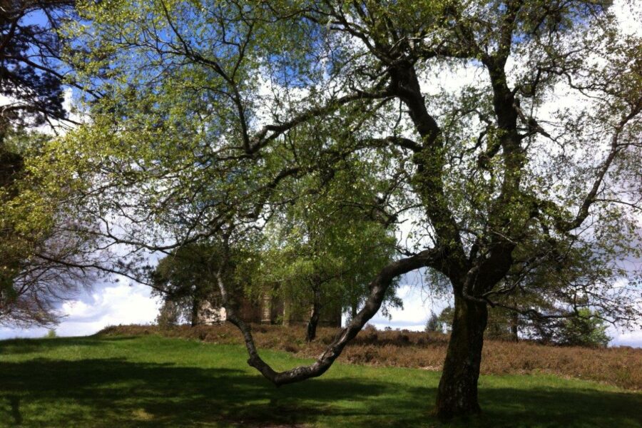 Les Mots qui portent La créativité et l'audace pour s'adapter