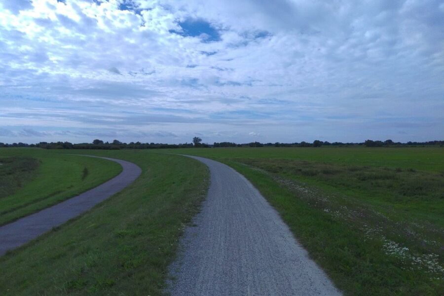 LES MOTS QUI PORTENT accompagne toute personne dans son projet d'écriture. Des prestations sur mesure.